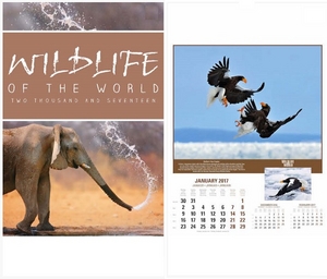 Wildlife Of The World Wall. 